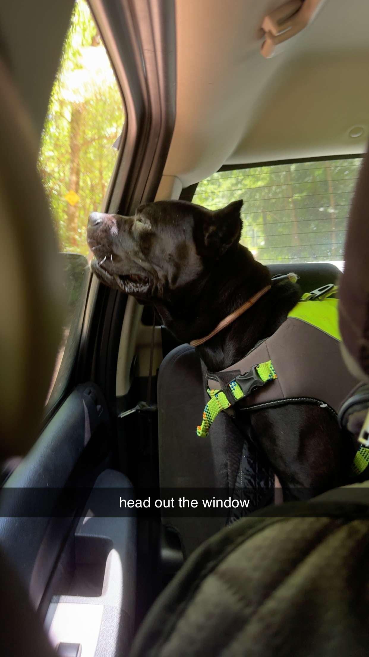 mckinley_1 snapchat image archive image