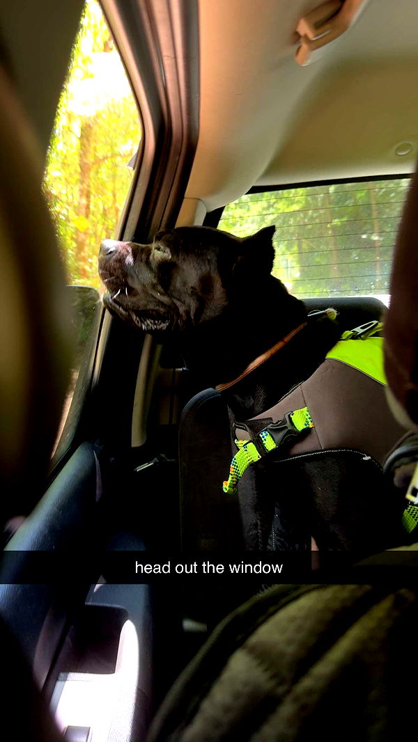 mckinley_1 image ~ Altpins