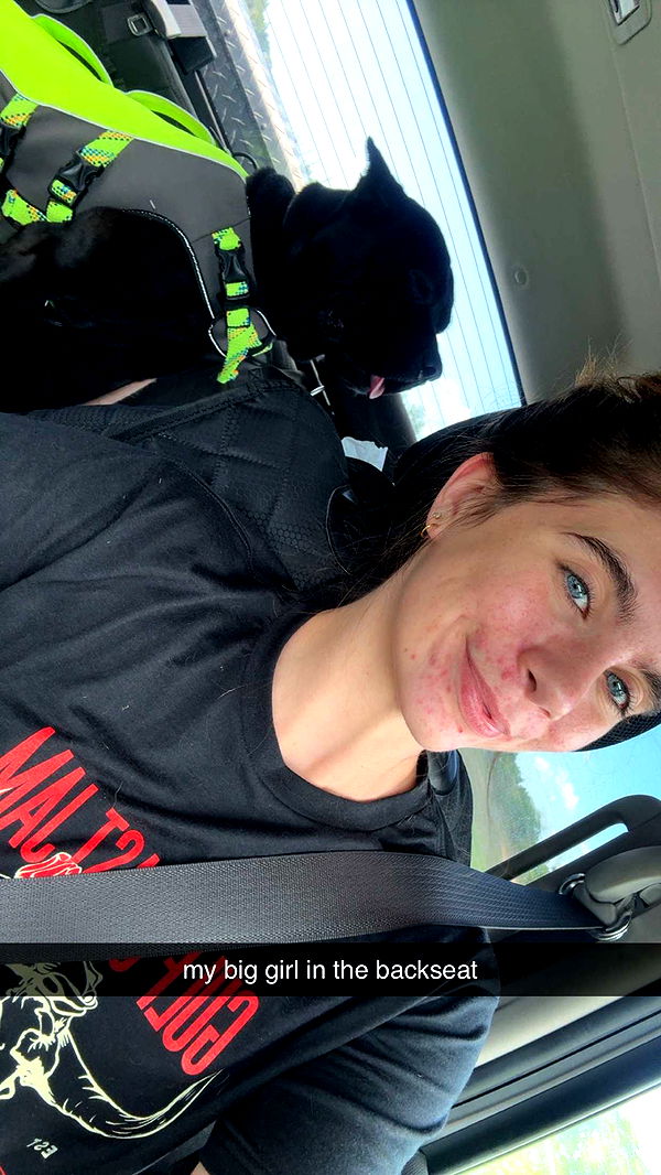 mckinley_1 image ~ Altpins