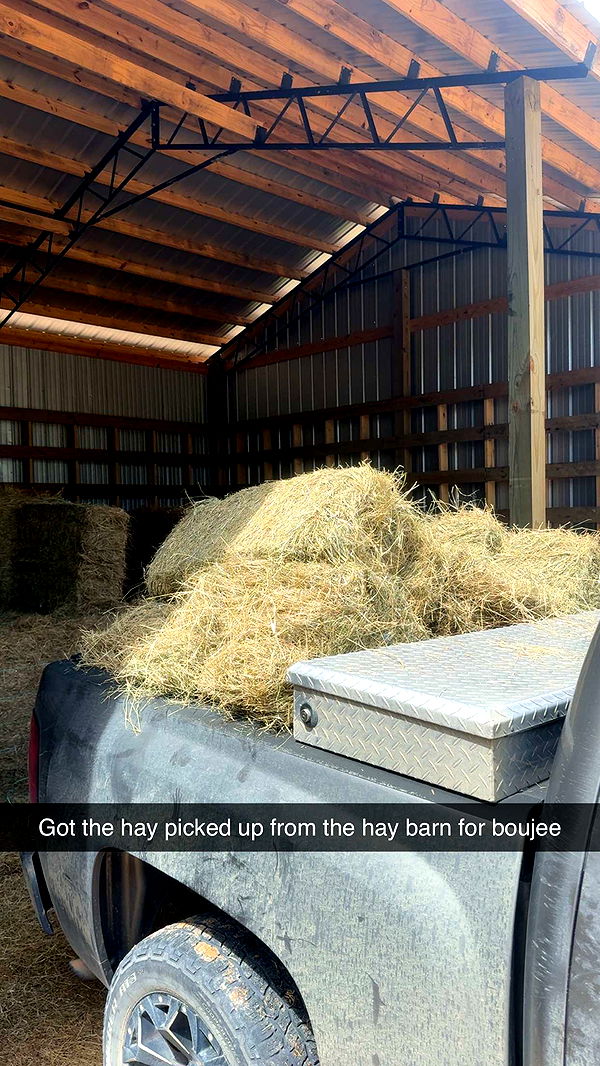 mckinley_1 image ~ Altpins