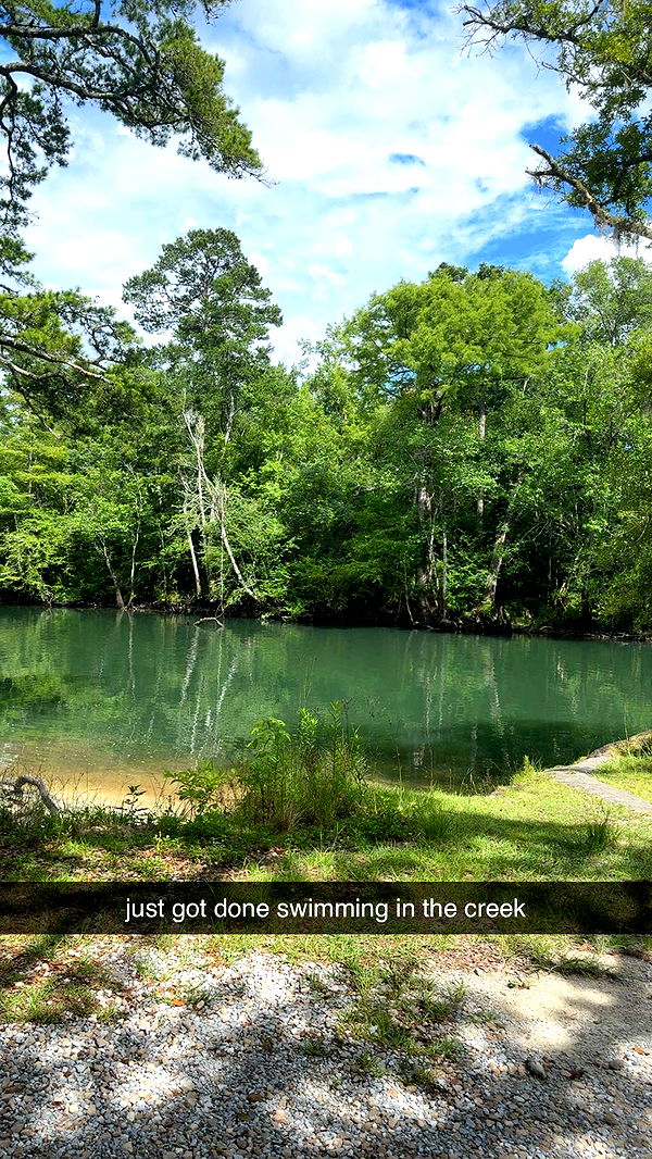 mckinley_1 image ~ Altpins