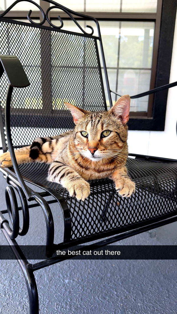 mckinley_1 image ~ Altpins