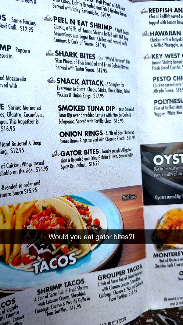 mckinley_1 image ~ Altpins