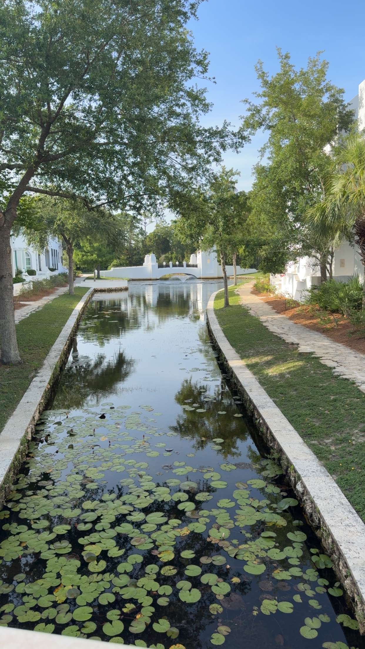 mckinley_1 snapchat image archive image