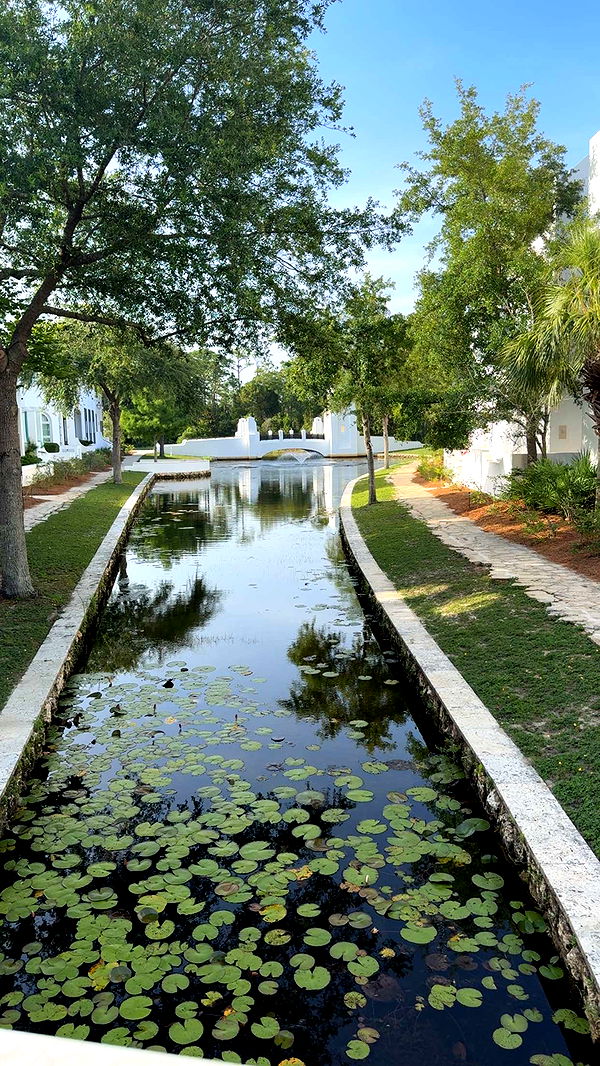 mckinley_1 image ~ Altpins