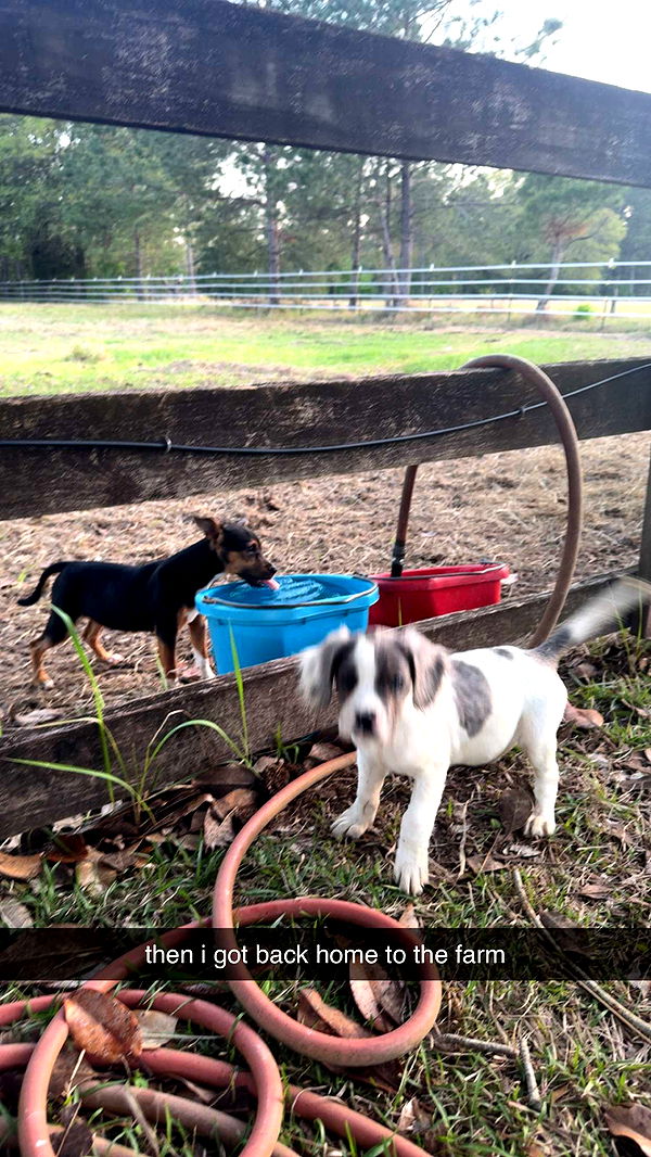 mckinley_1 image ~ Altpins