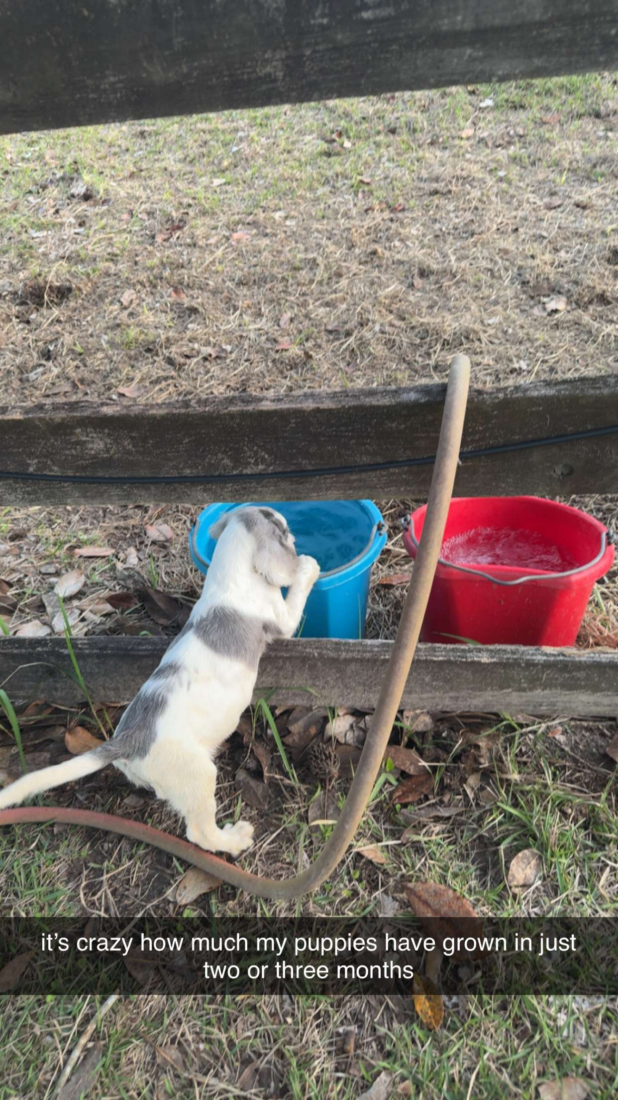 mckinley_1 snapchat image archive image