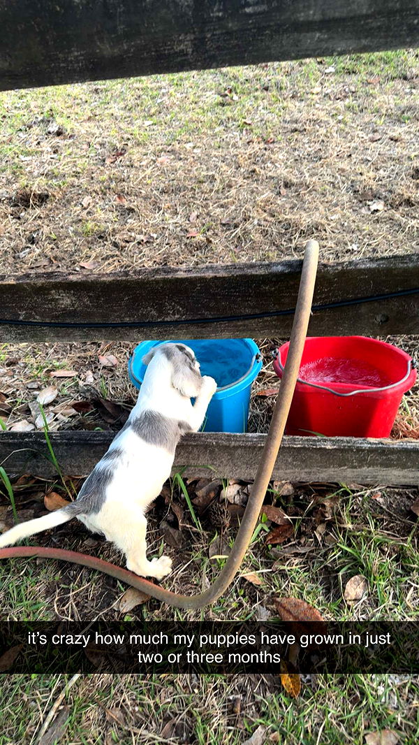 mckinley_1 image ~ Altpins