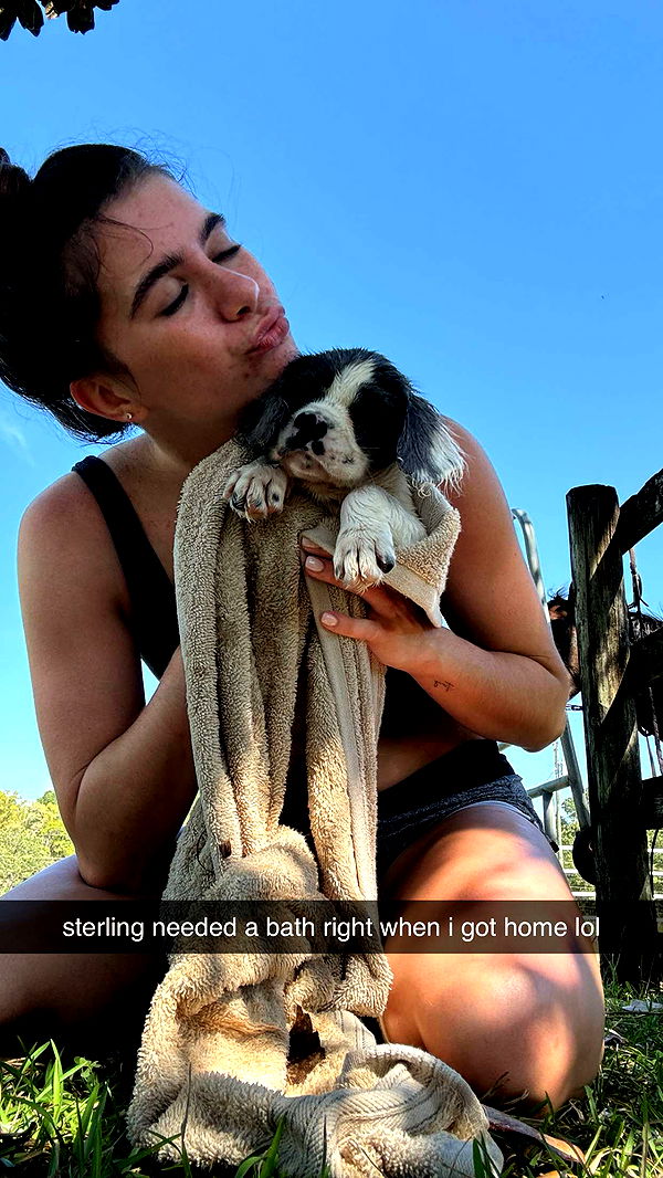 mckinley_1 image ~ Altpins