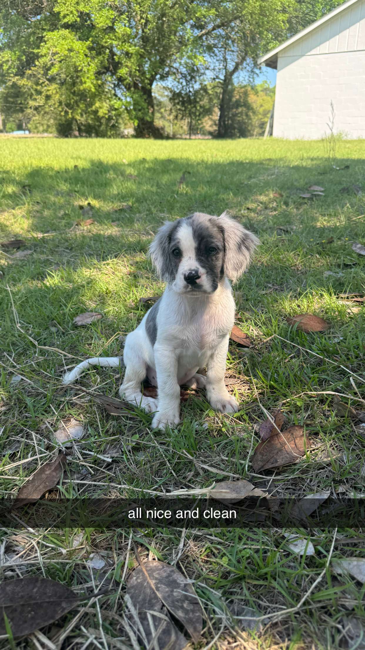 mckinley_1 snapchat image archive image