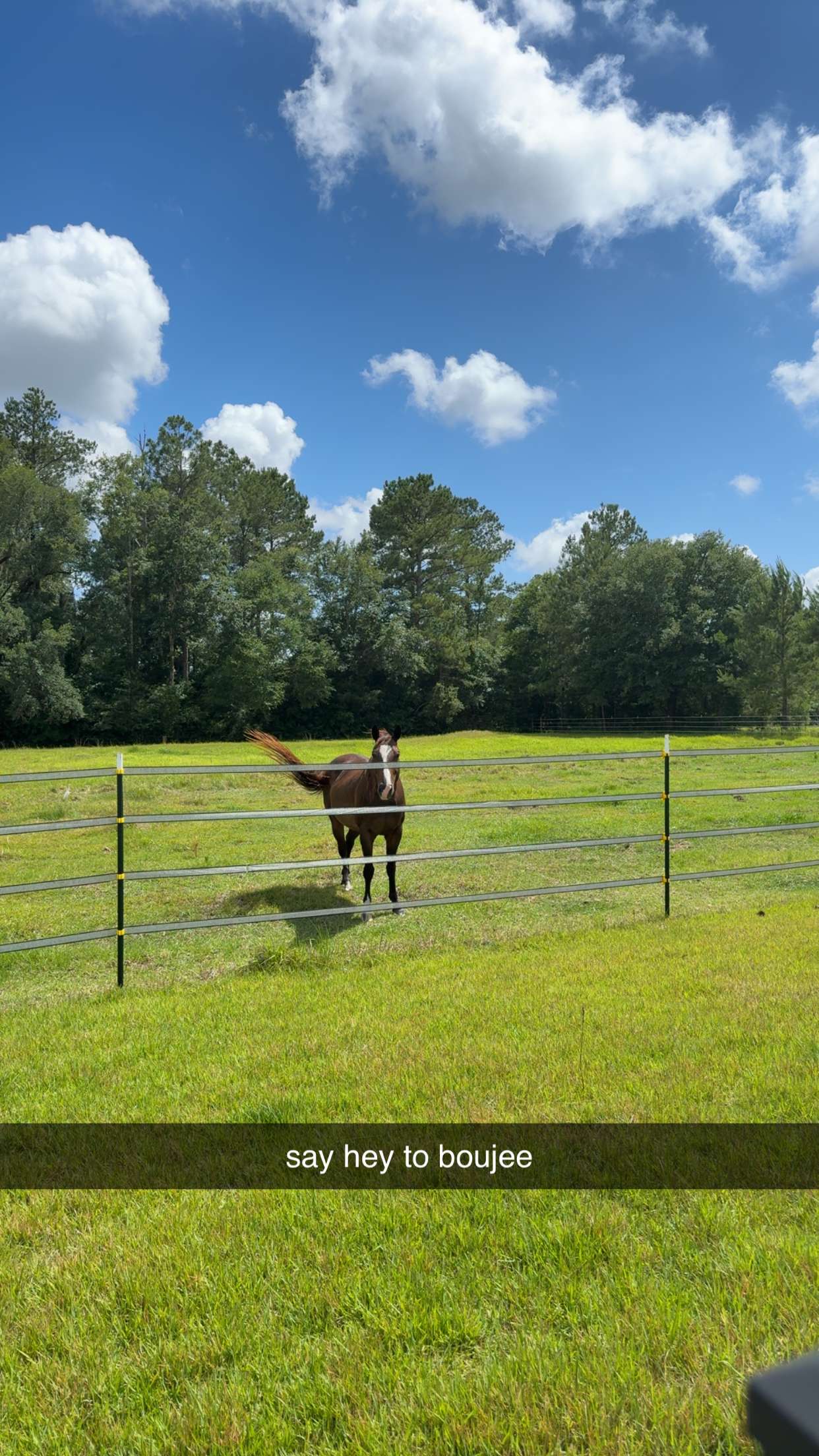 mckinley_1 snapchat image archive image