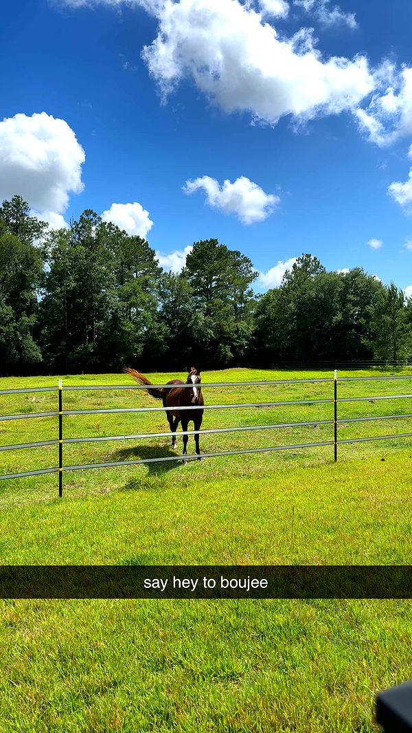 mckinley_1 image ~ Altpins