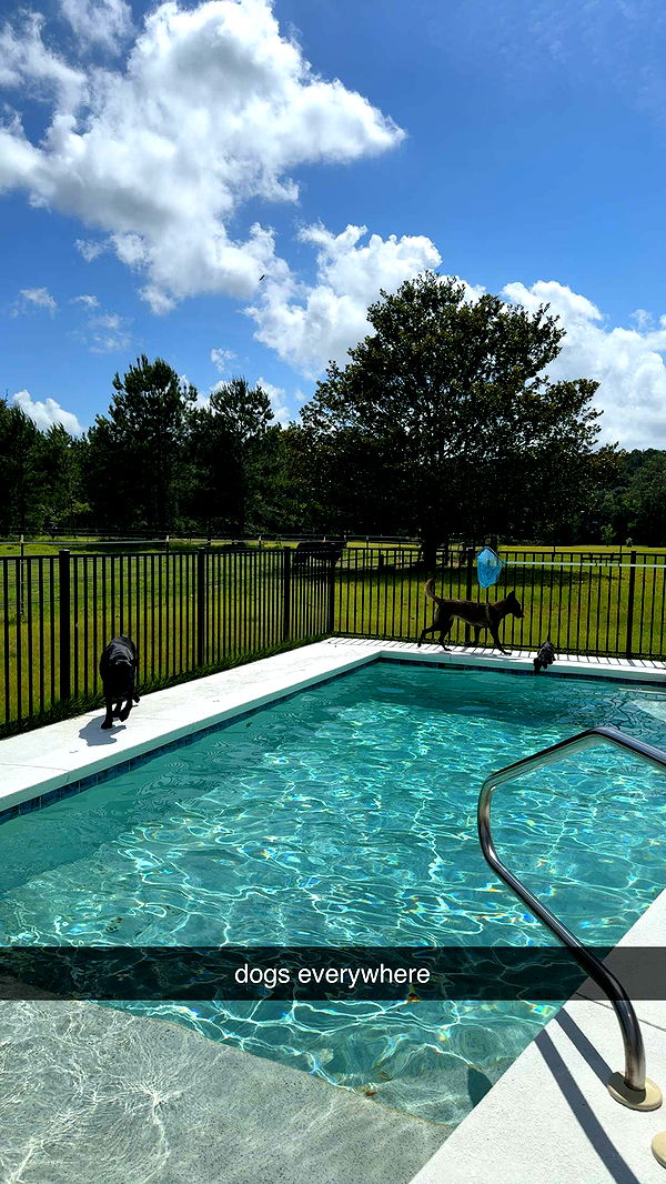 mckinley_1 image ~ Altpins