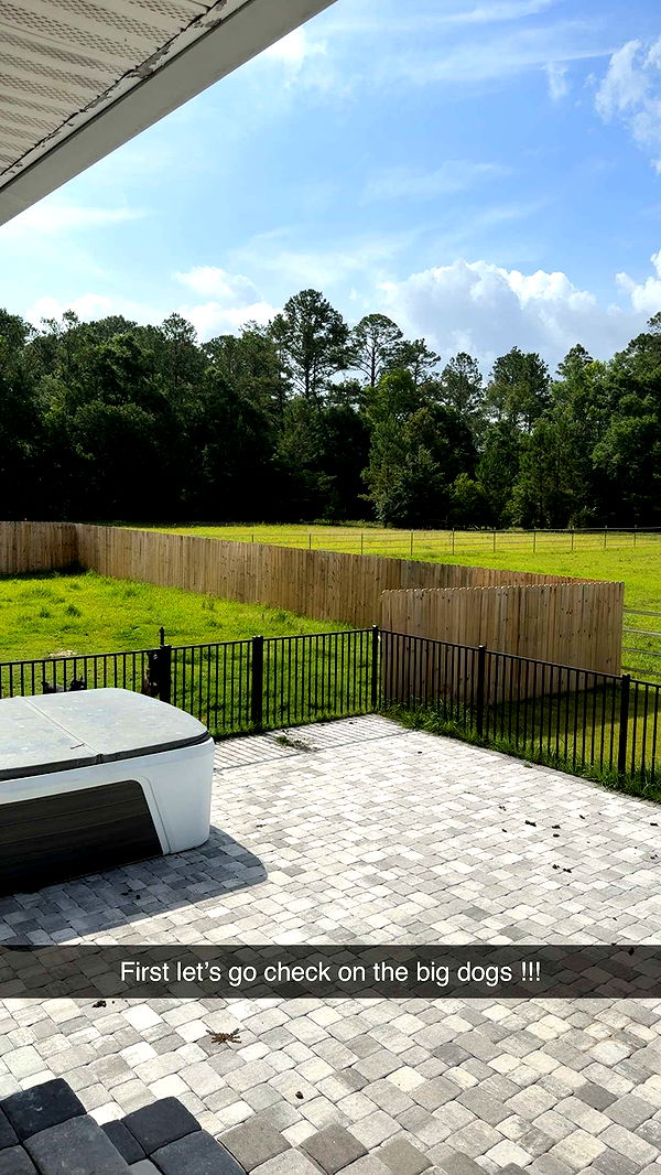 mckinley_1 image ~ Altpins