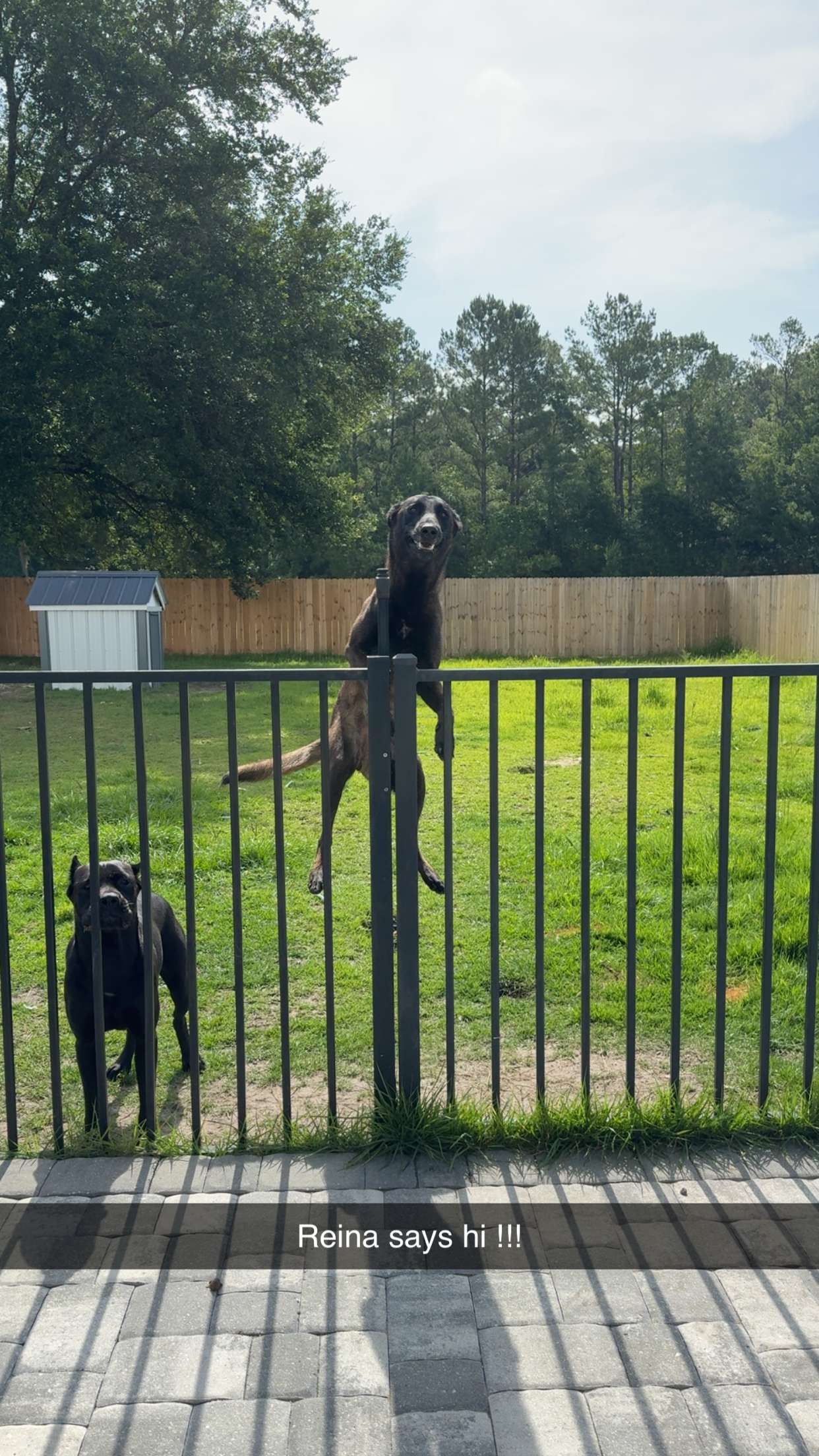 mckinley_1 snapchat image archive image