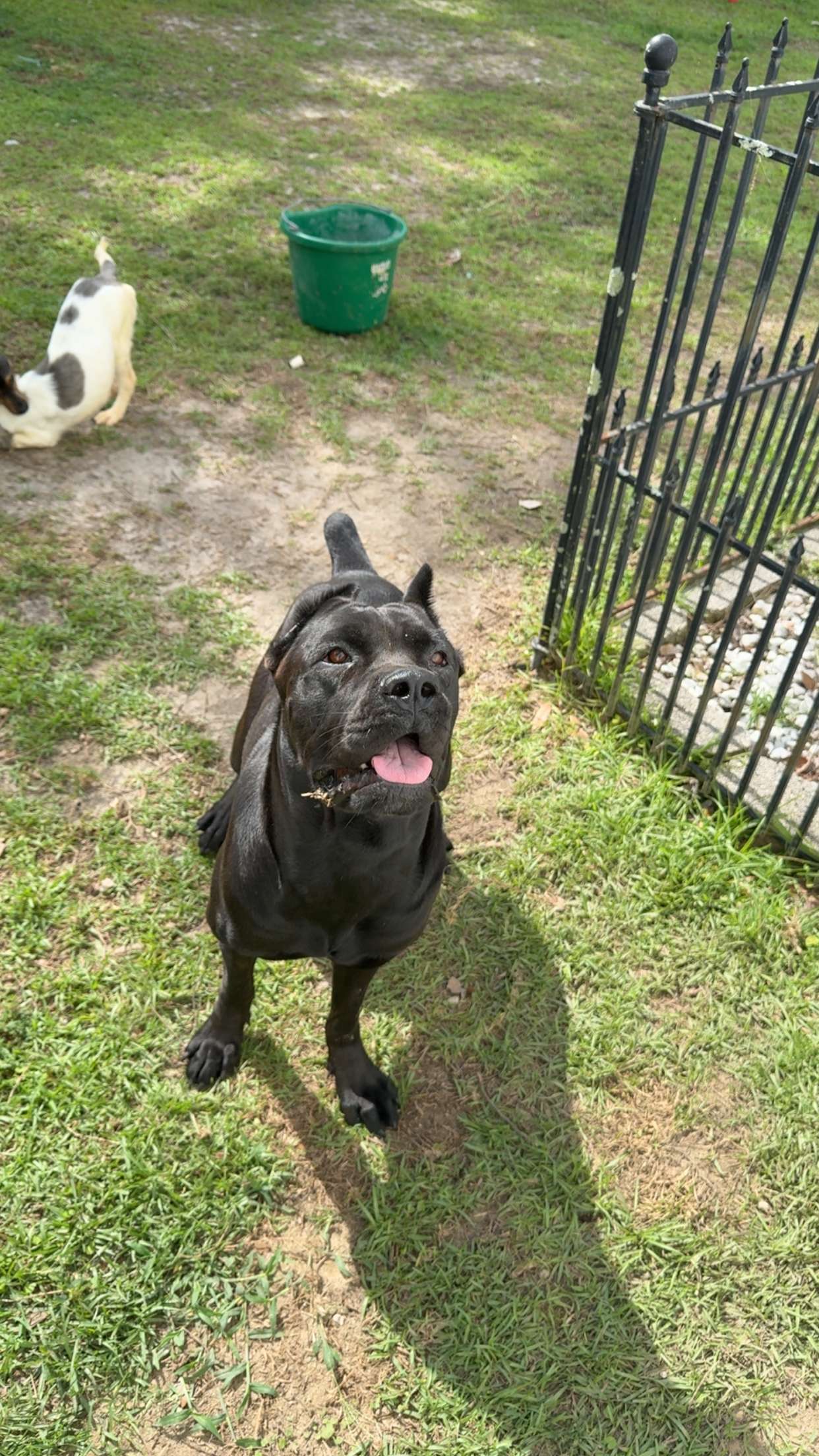 mckinley_1 snapchat image archive image