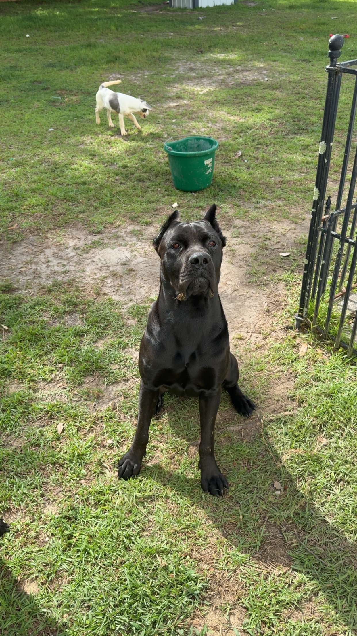 mckinley_1 snapchat image archive image