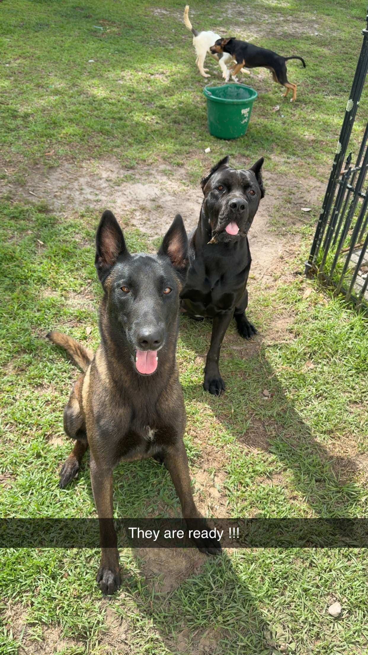 mckinley_1 snapchat image archive image