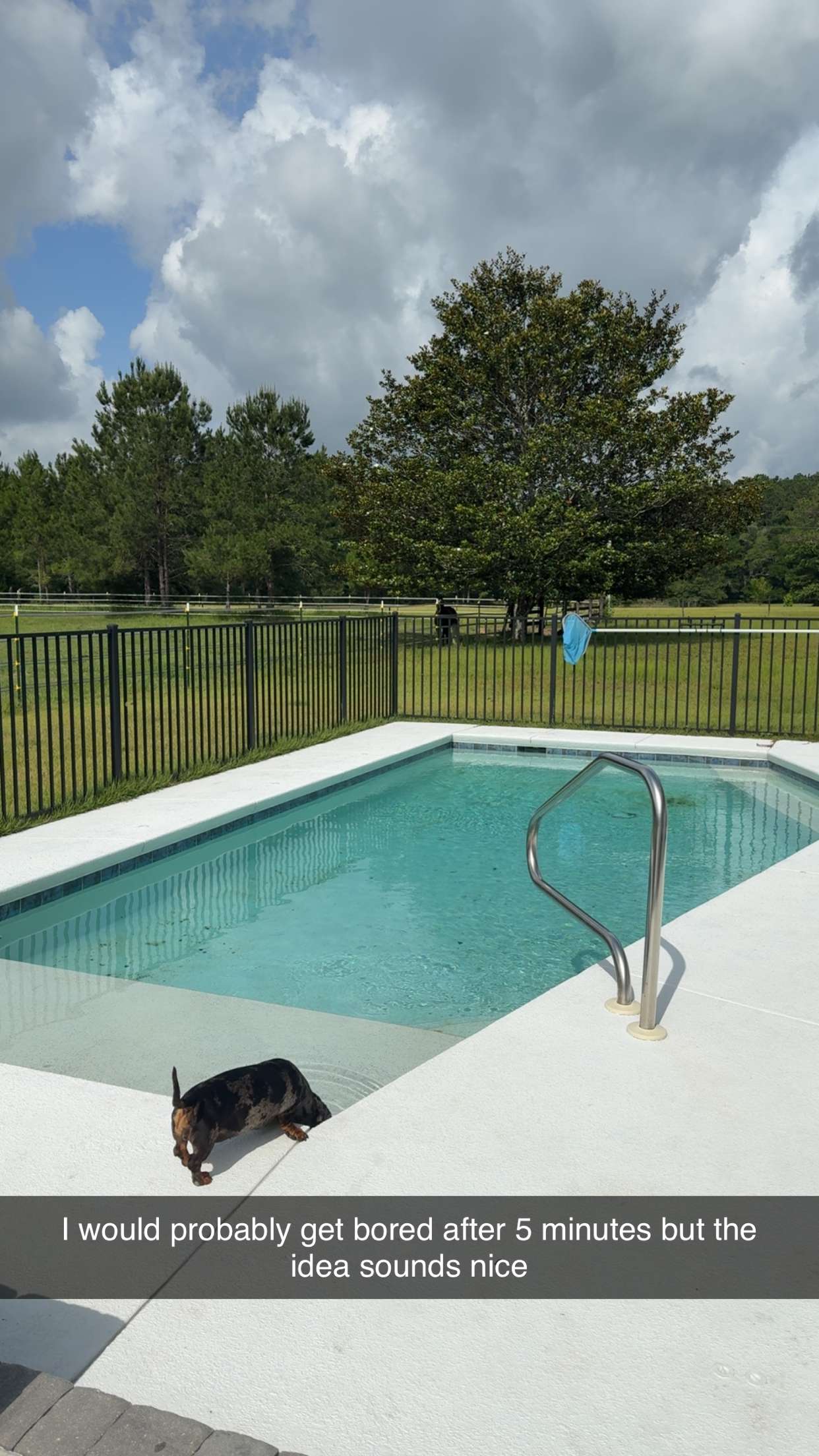 mckinley_1 snapchat image archive image