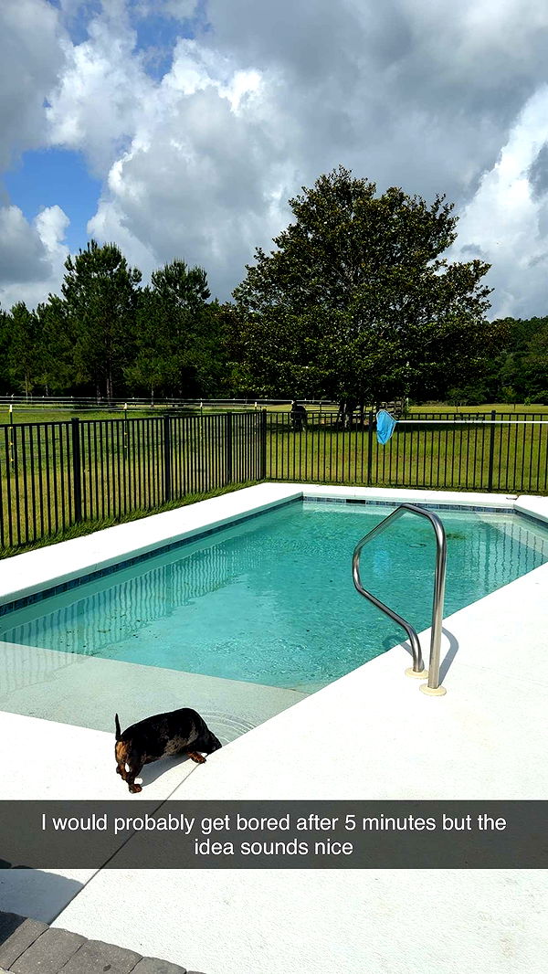 mckinley_1 image ~ Altpins