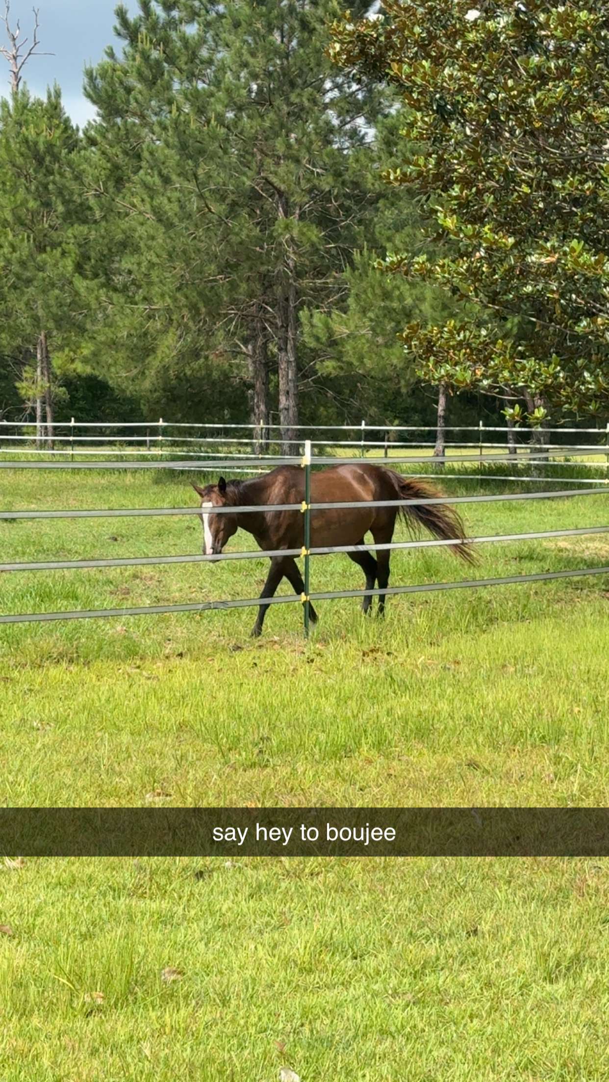 mckinley_1 snapchat image archive image