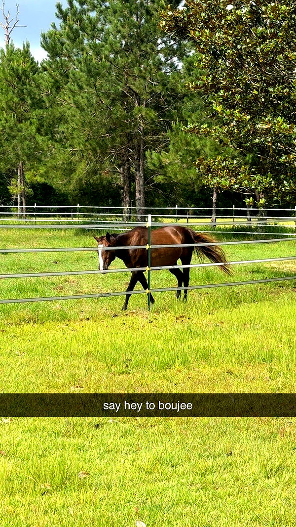 mckinley_1 image ~ Altpins