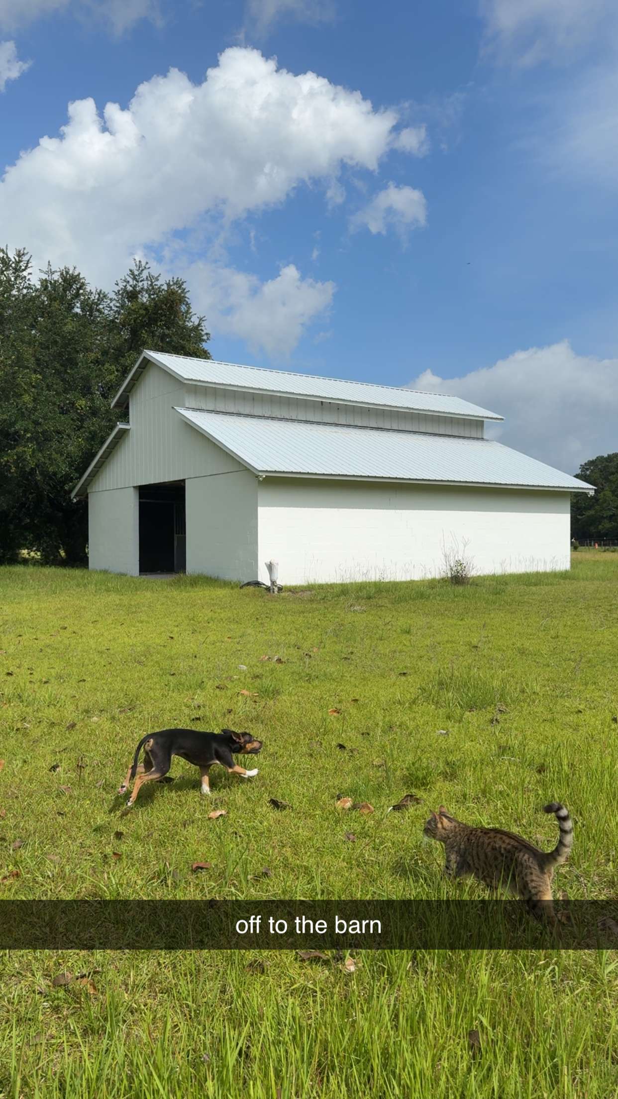 mckinley_1 snapchat image archive image