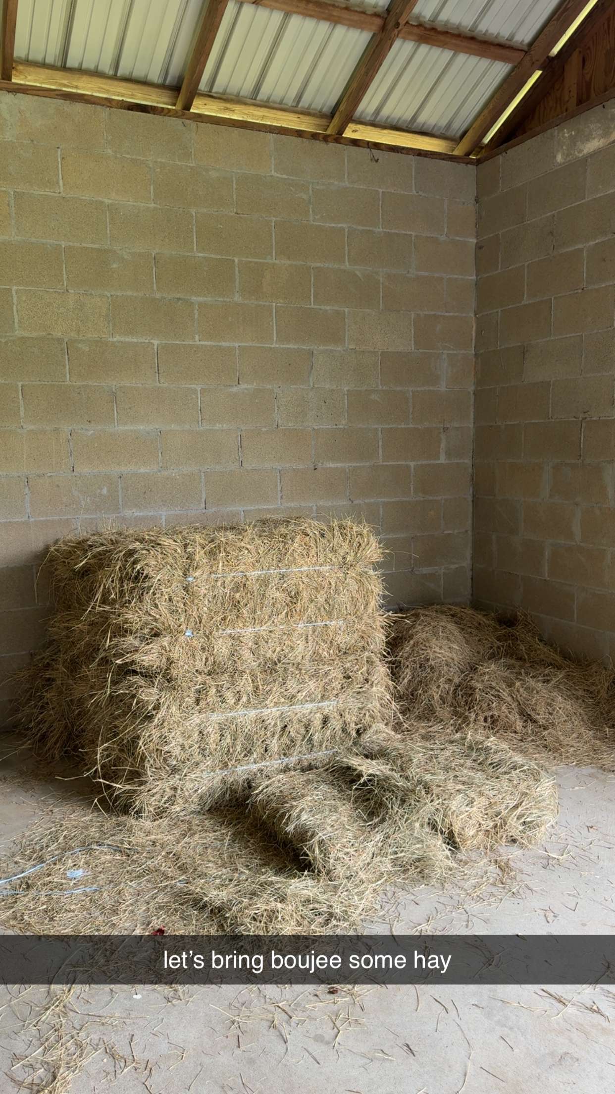 mckinley_1 snapchat image archive image