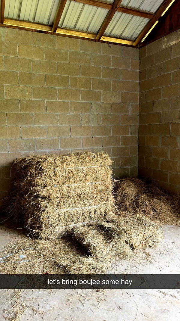 mckinley_1 image ~ Altpins