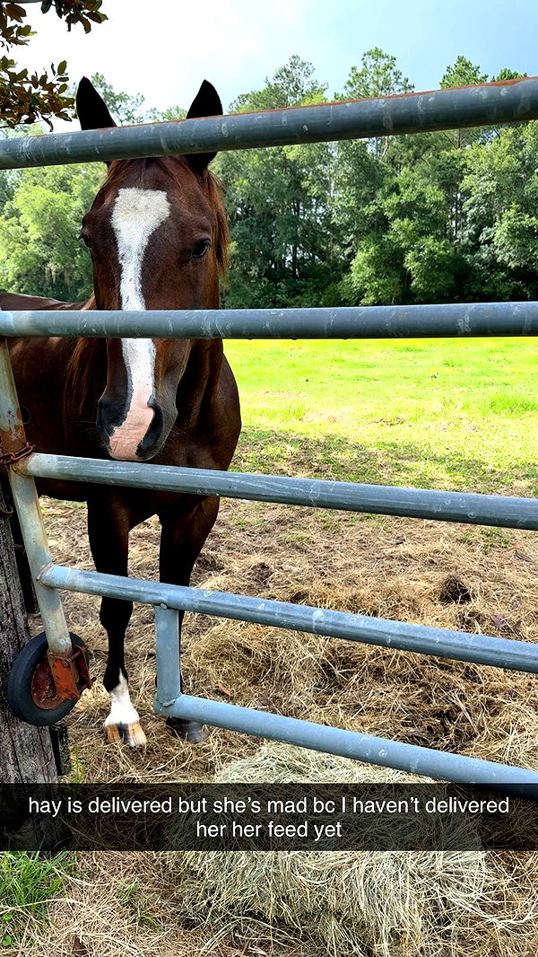 mckinley_1 image ~ Altpins