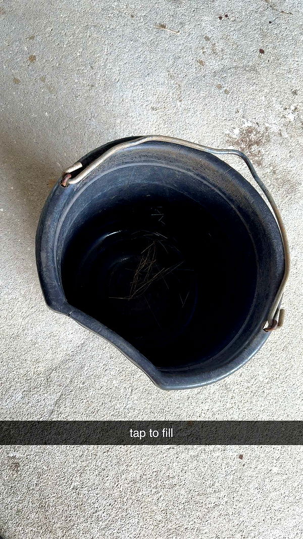 mckinley_1 image ~ Altpins