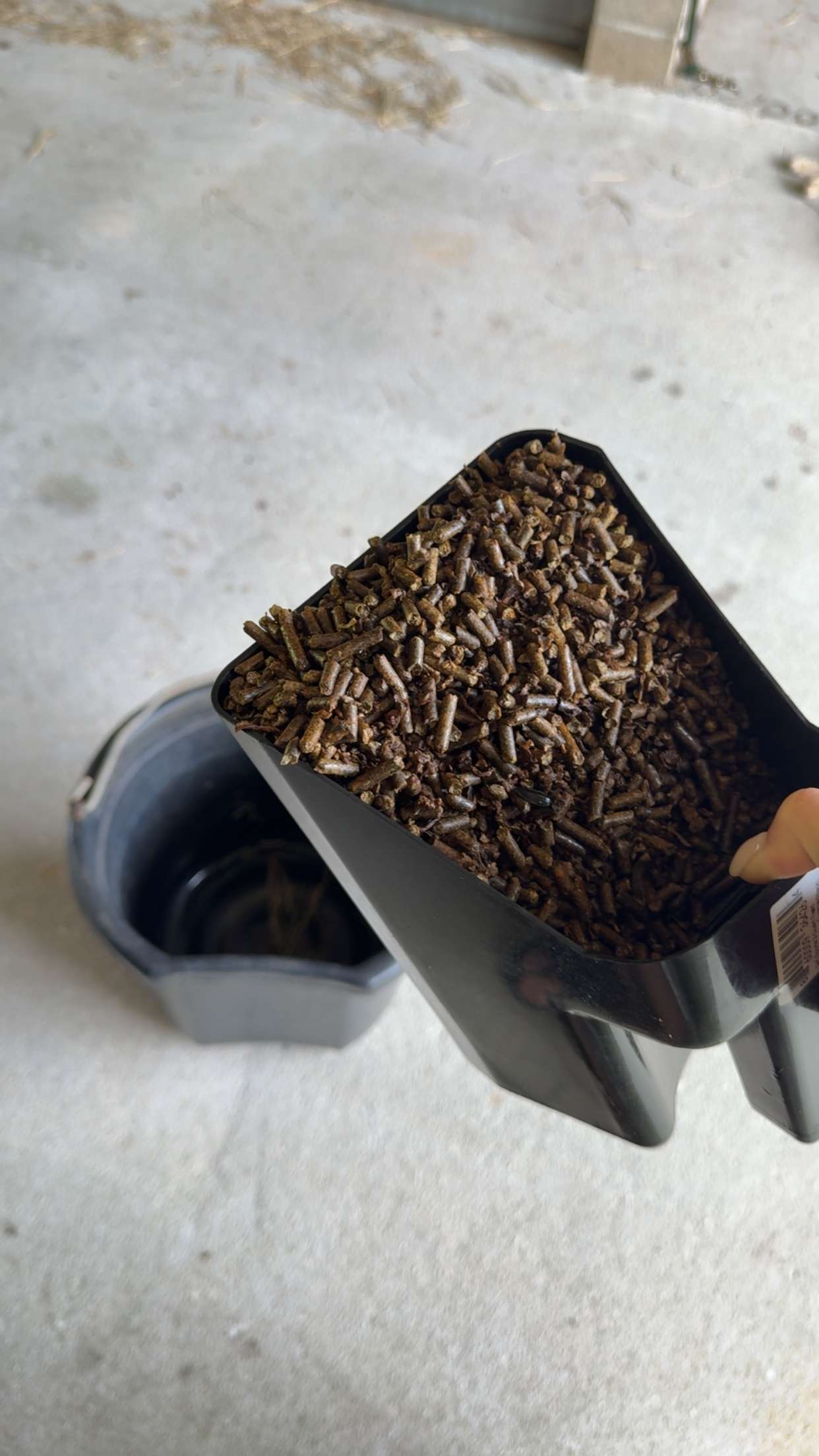 mckinley_1 snapchat image archive image