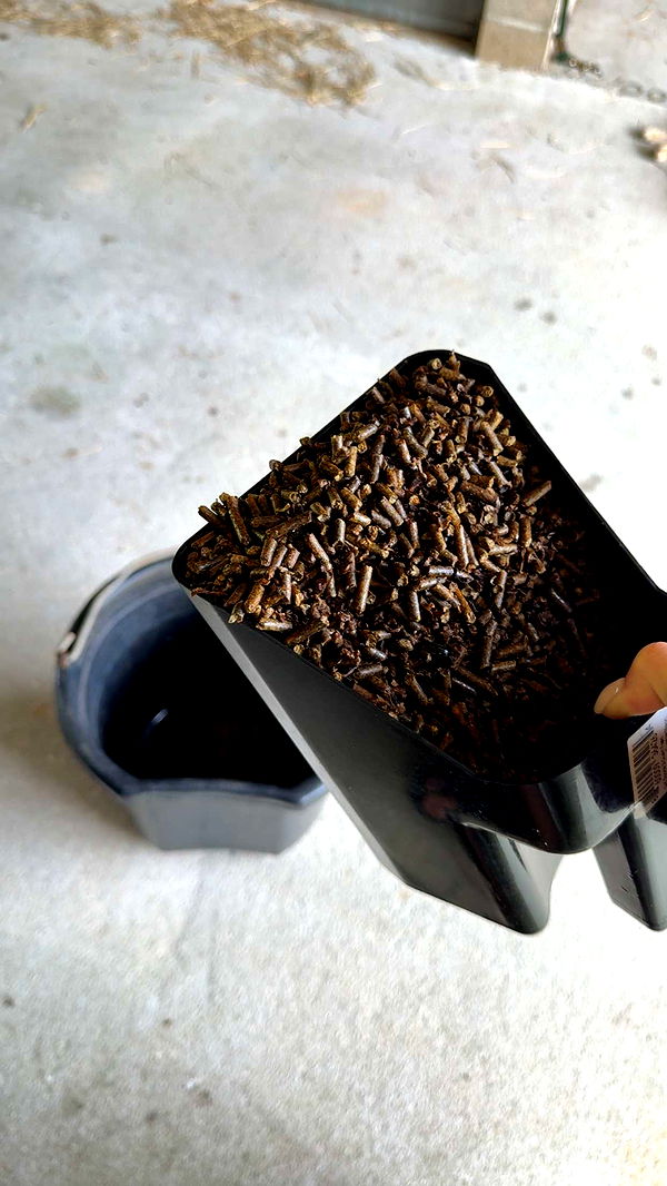 mckinley_1 image ~ Altpins