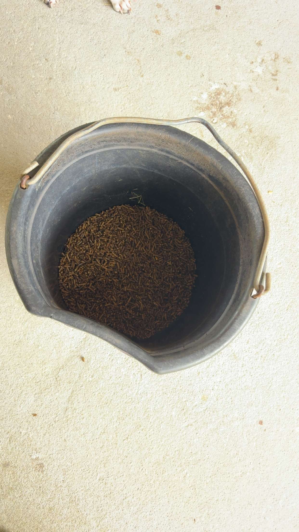 mckinley_1 snapchat image archive image