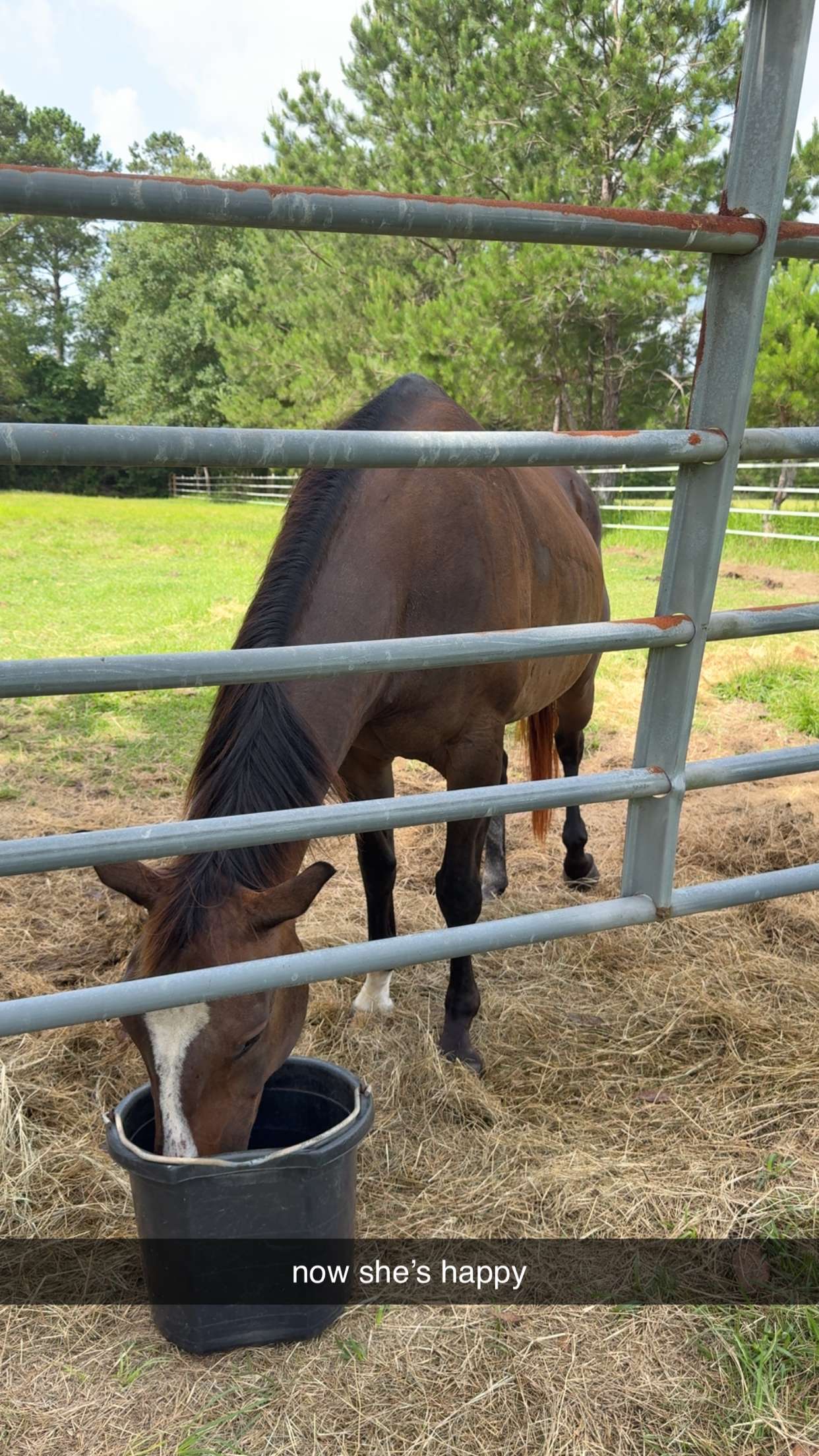 mckinley_1 snapchat image archive image