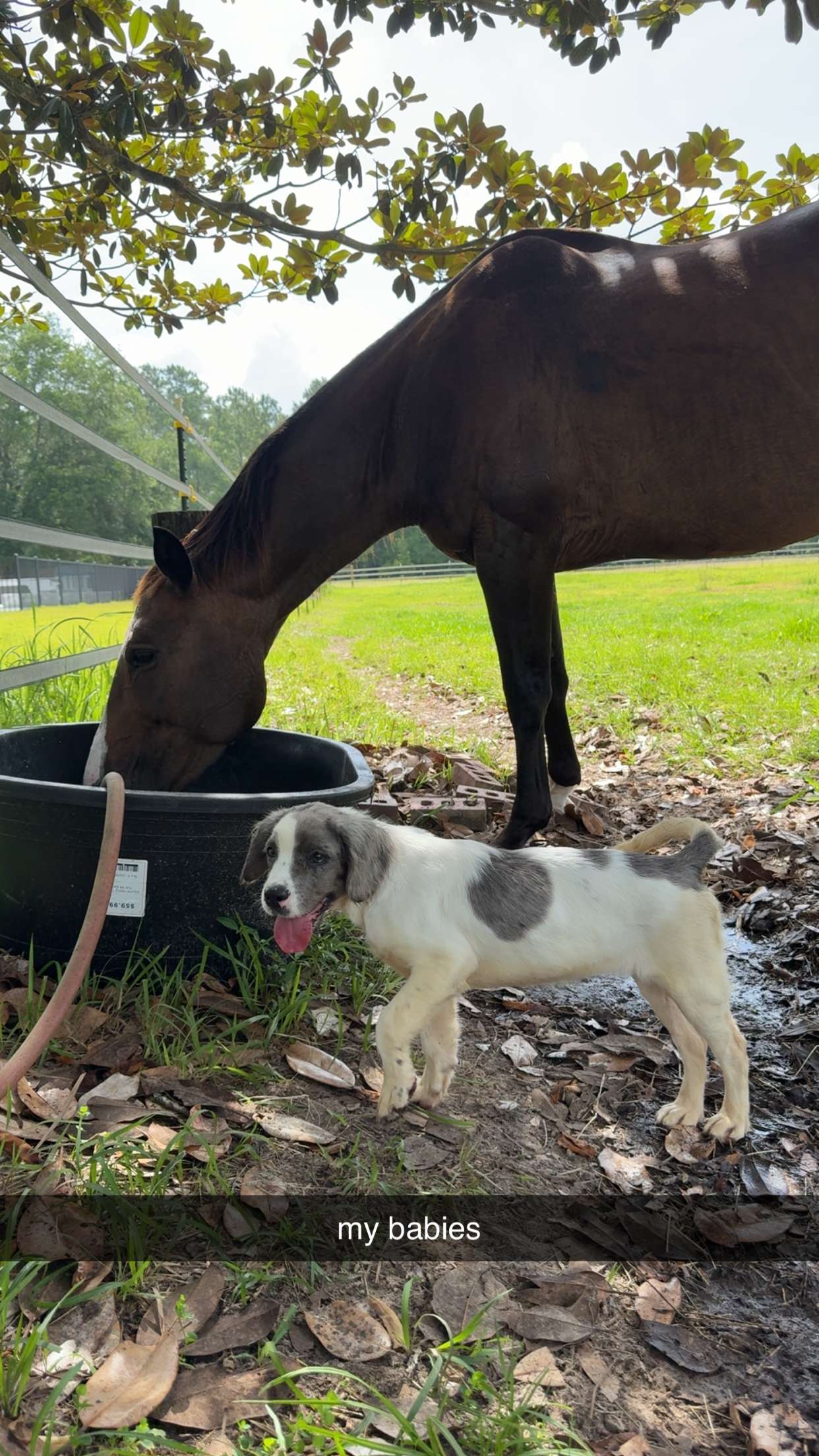 mckinley_1 snapchat image archive image