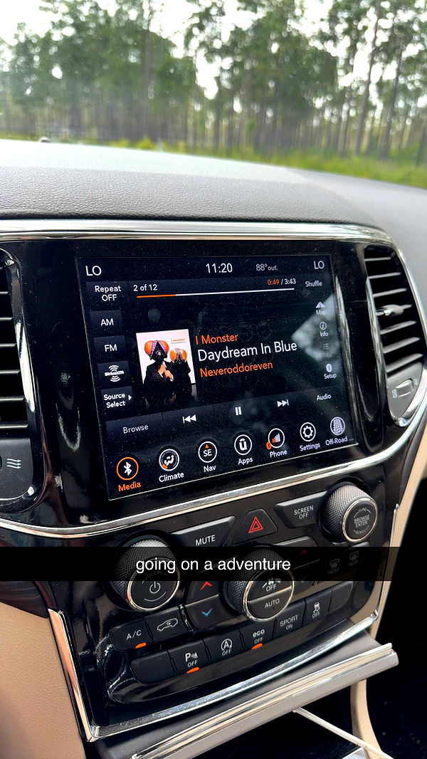 mckinley_1 image ~ Altpins