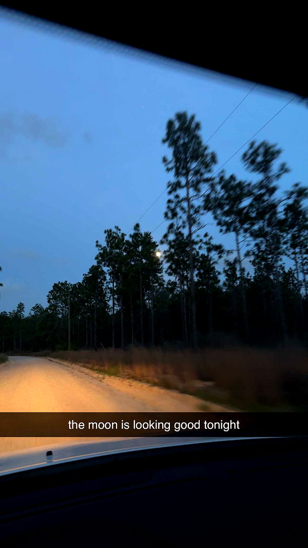 mckinley_1 image ~ Altpins