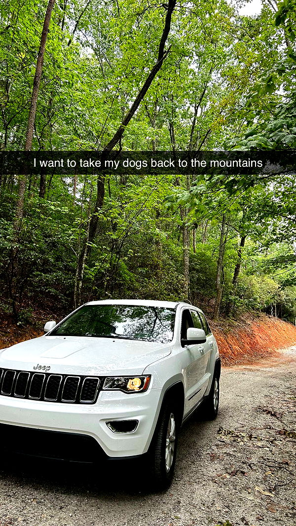 mckinley_1 image ~ Altpins