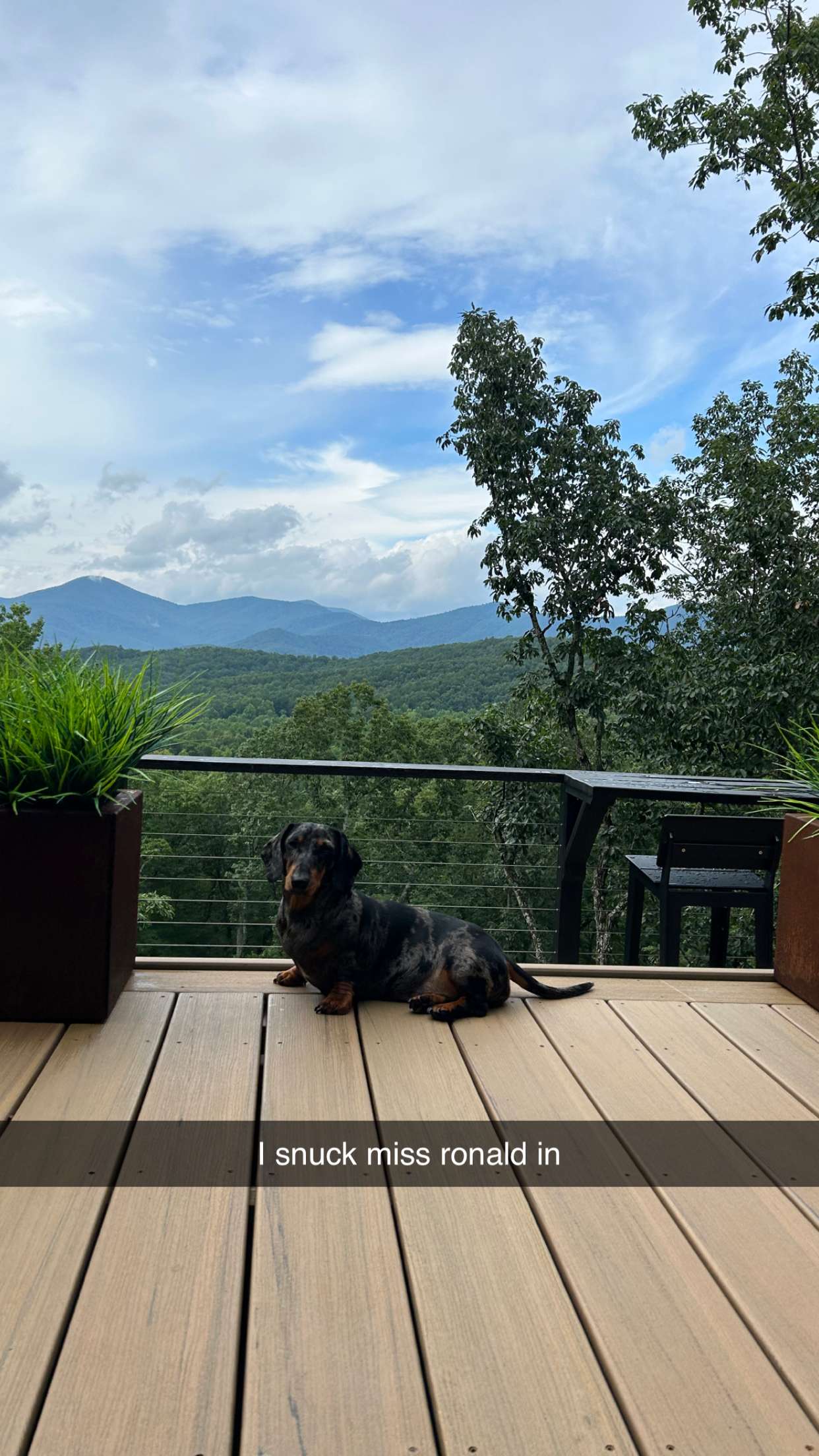 mckinley_1 snapchat image archive image