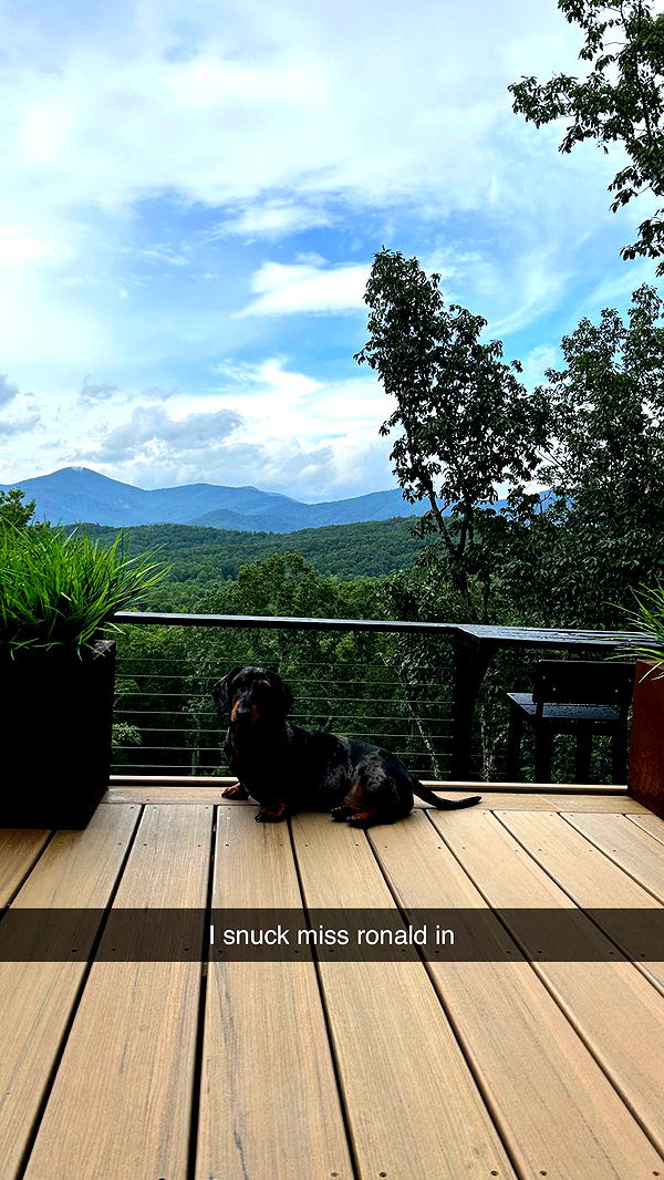 mckinley_1 image ~ Altpins