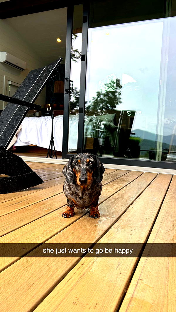 mckinley_1 image ~ Altpins