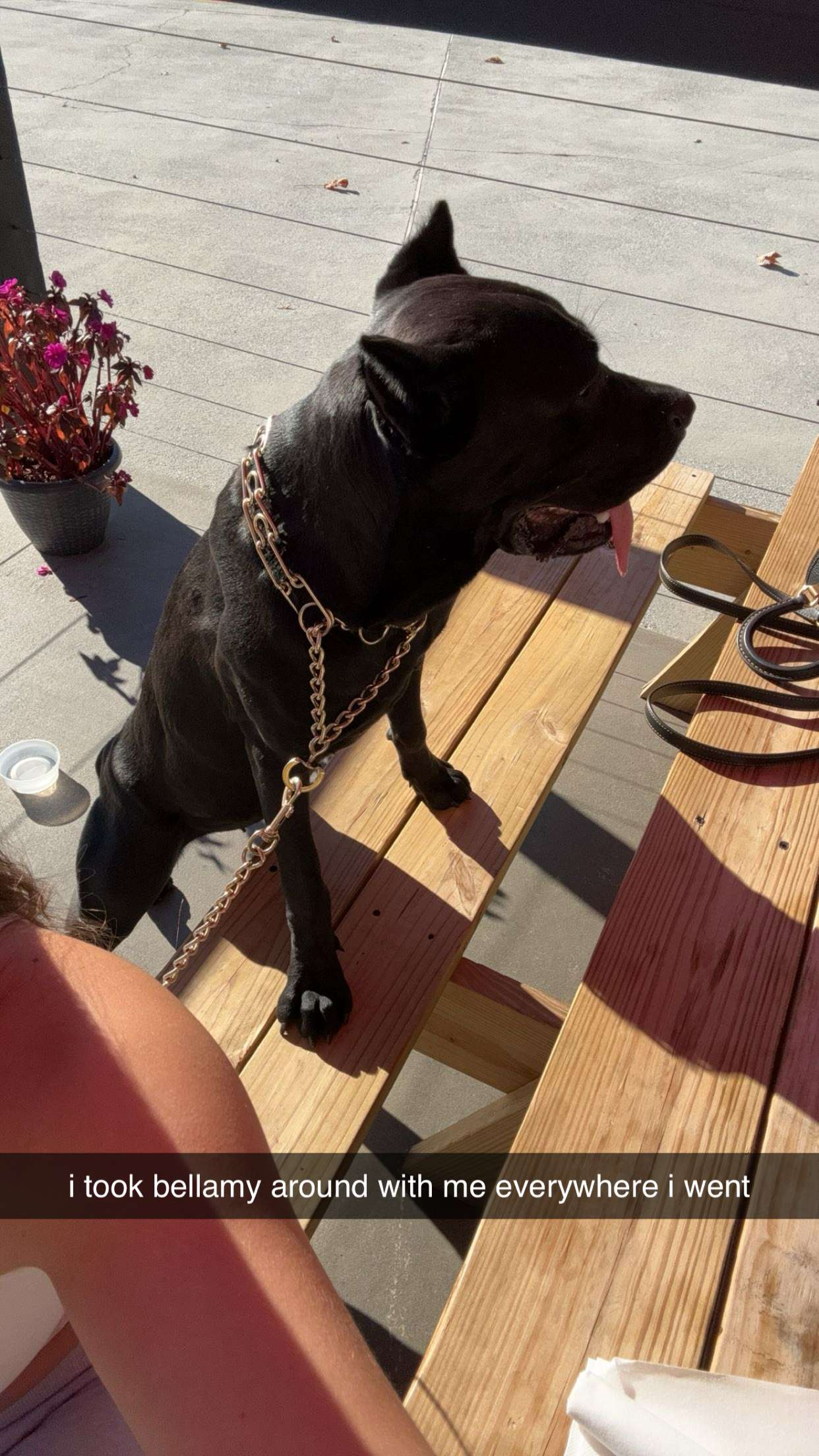 mckinley_1 snapchat image archive image