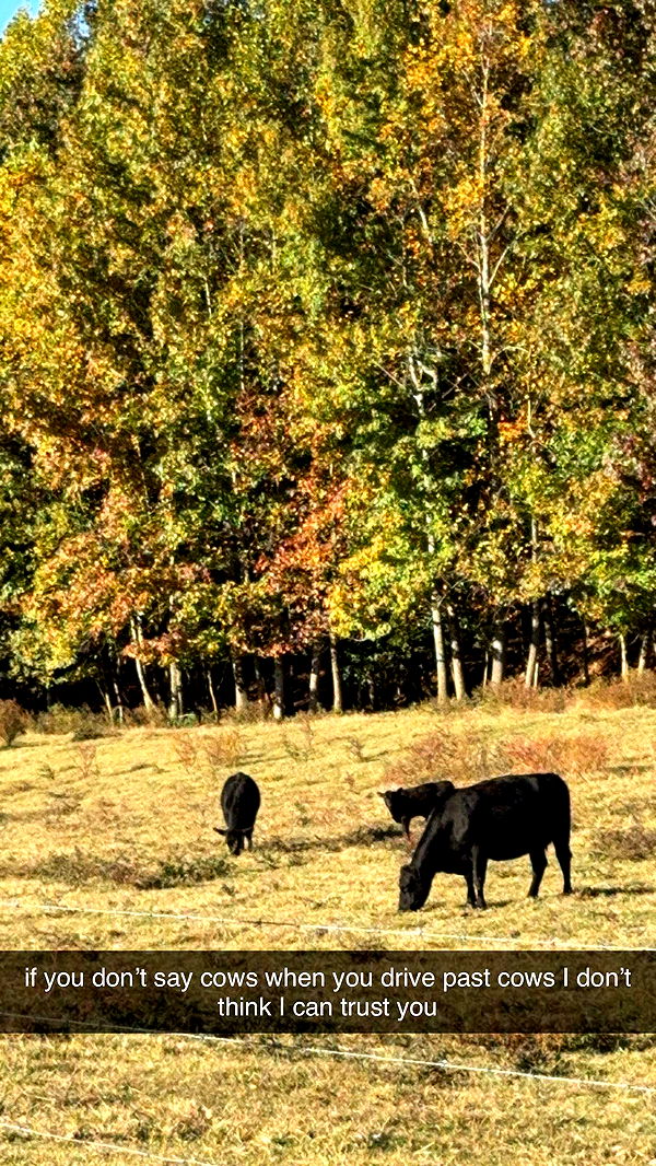 mckinley_1 image ~ Altpins