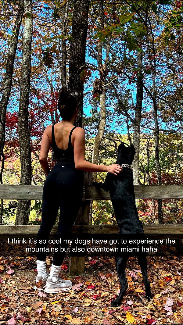 mckinley_1 image ~ Altpins