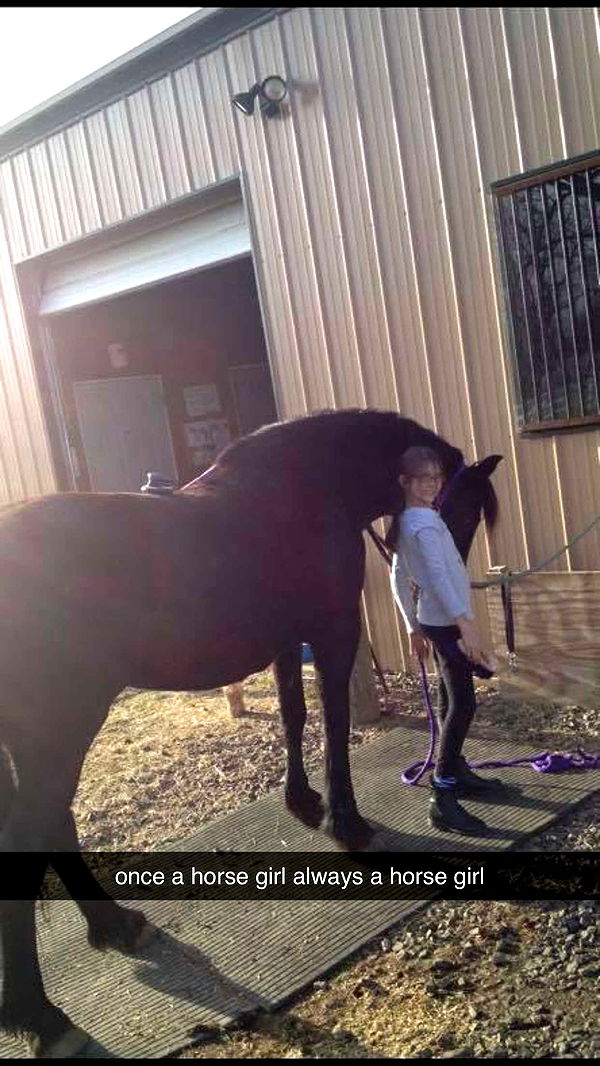 mckinley_1 image ~ Altpins