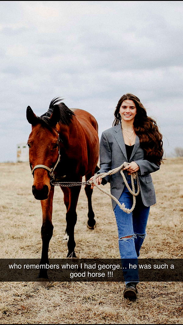 mckinley_1 image ~ Altpins