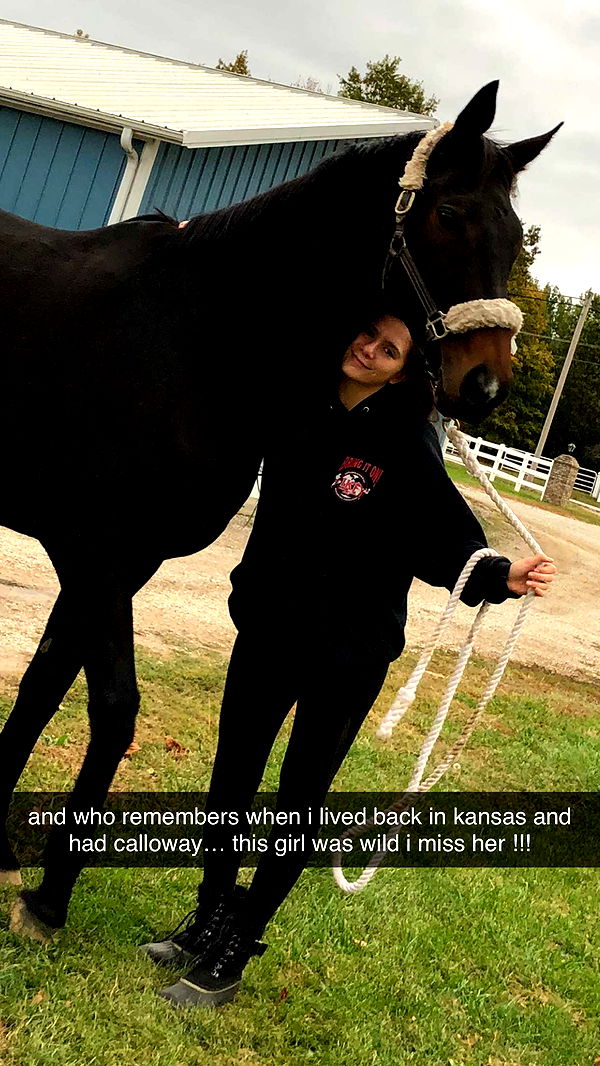 mckinley_1 image ~ Altpins