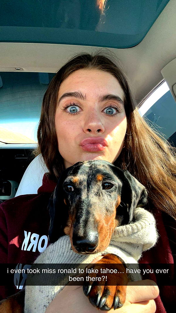 mckinley_1 image ~ Altpins