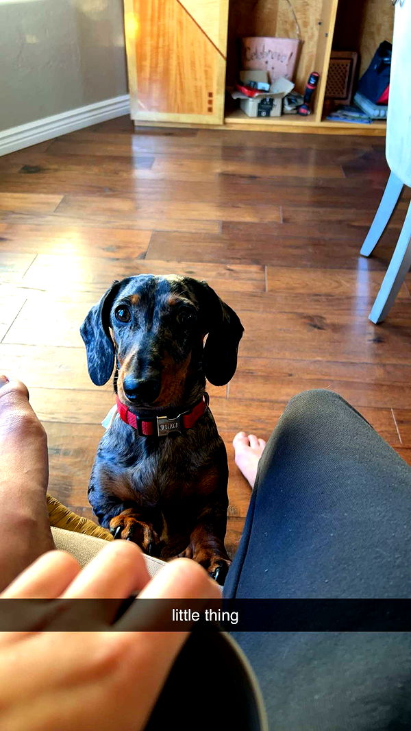 mckinley_1 image ~ Altpins